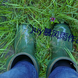 juy暴风雨作品有哪些