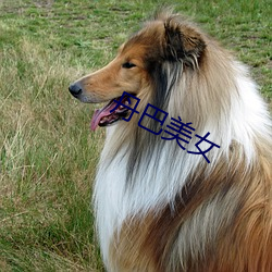丹巴美女