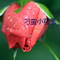 刁蛮(蠻)小药凰
