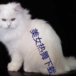 美女热舞下载