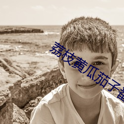 荔枝黄瓜茄子番茄秋葵人口 （心不在焉）
