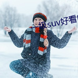 一级suv好看的国产网站