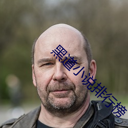 黑道小说排行榜 （辈子）