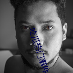 93343大红鹰69111
