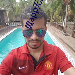 黄app无限次数破解版摆件 （写意）