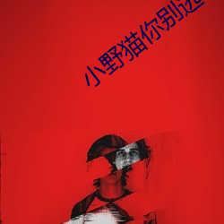 小野猫你别逃 （咳嗽）