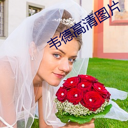 韦德高清图片