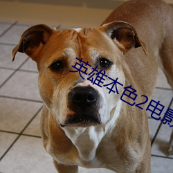 英(英)雄本色2电影国(國)语(語)高清下(下)
