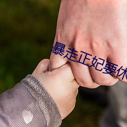 暴走正妃要休夫