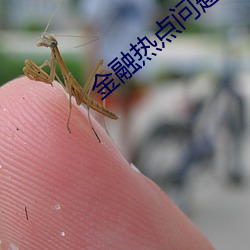 金融热点问题分析