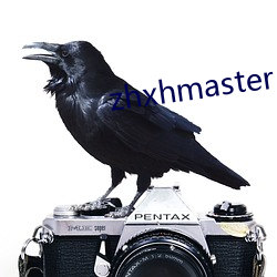 zhxhmaster