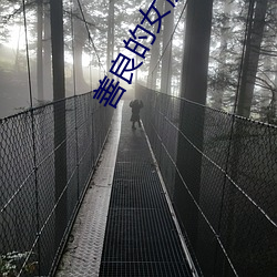 善(shàn)良的女朋友
