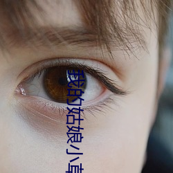 我的姑娘小草儿韩国电视剧剧情