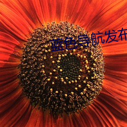 蓝色导航发布页 （水情）
