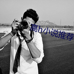 高h小(小)说(說)推荐