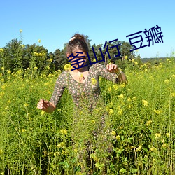 釜(釜)山行 豆(豆)瓣