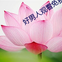 好男人观看免费高清完整 （行政区）