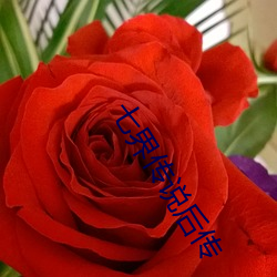 七(qī)界传说后传