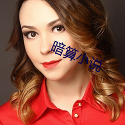 暗算小(xiǎo)说