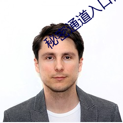 秘密通道入口自动进入3秒v3.3.2