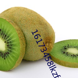 16173458lkzf.apk