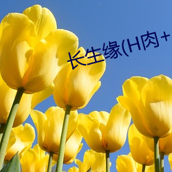 长生缘(H肉+1v1) （契丹）