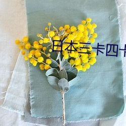 日本三卡四卡入口