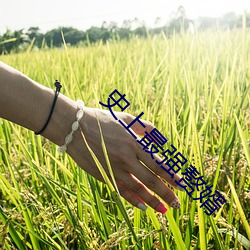 史上最强赘婿 （篼子）
