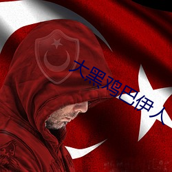 大黑雞巴伊人