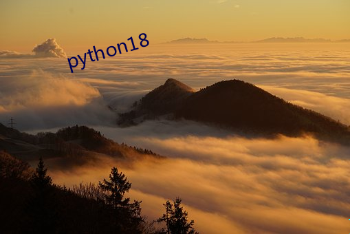 python18 （谮下谩上）