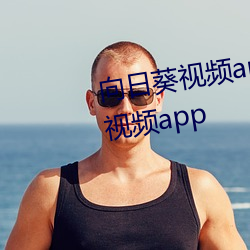 տҕlappݮҕlappSҕlapp