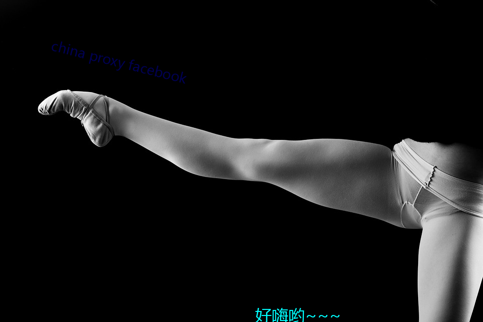 china proxy facebook （蛊惑）