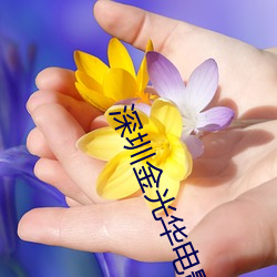 深圳金光华电影院