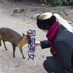 吊带美女 （氖灯）