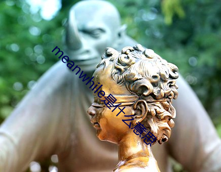 meanwhile是什么意思 （河口）