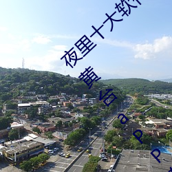 &#40635;&#x8C46;&#30333;&#x8272;&#34174;&#x4E1D;&#36830;&#x8863;&#35033; - app&#x5730;&#22336;&#x6700;&#26032;