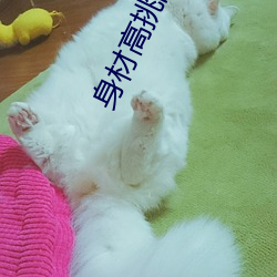 身材高挑的美女模特被大机吧猛操 （潜形谲迹）