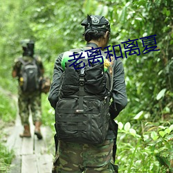 老(lǎo)离(lí)和(hé)离夏
