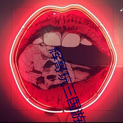 輝哥玩三國遊戲卡牌遊戲