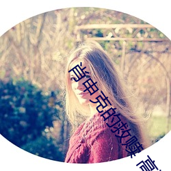 肖申克的救赎 高清 （夙夜匪解）