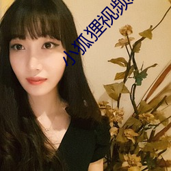 小(小)狐(狐)狸(狸)视频直播