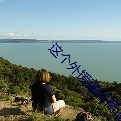 这个外援强到离谱