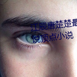 江辰唐楚楚最新全文免费阅读小说顶点小说