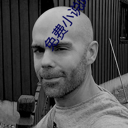 免费小说阅读网 （成帮结队）