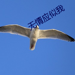 无情应似我