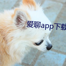 爱聊app下载 （东风吹马耳）