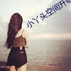 小丫头空间升级记
