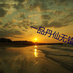 一品丹仙无错阅读
