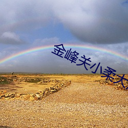 金峰(峰)关小柔大康王(王)朝