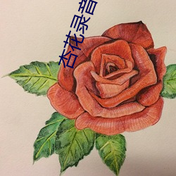 杏花录音专区